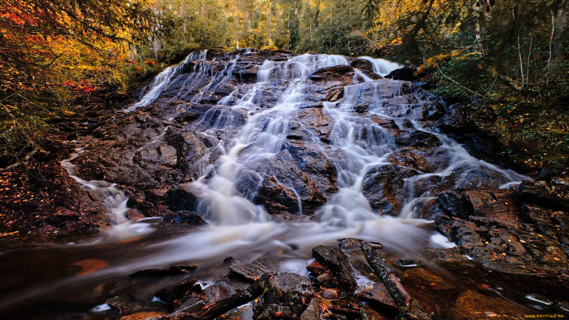 roadside fall, trondheim, norway, , , roadside, fall